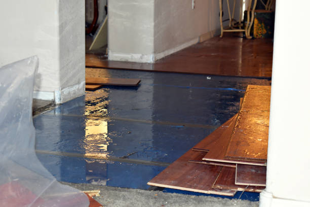 Professional Burst Pipe Cleanup technician working in Aurora, NC